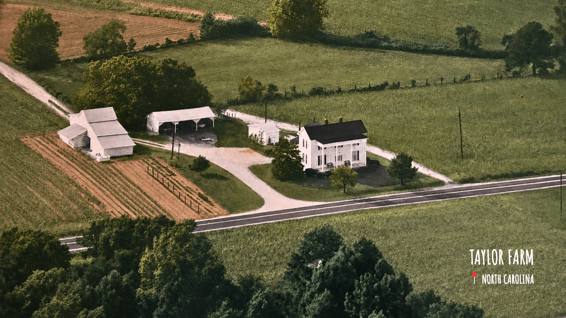 Aerial view of Taylor Farm: a white farmhouse, barns, and crop rows beside a country road